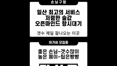 일산 하이퍼블릭 정상무